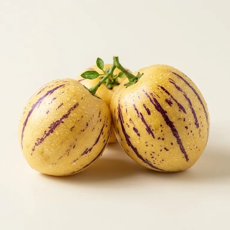 Pepino Melon