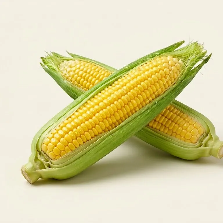 Sweet Corn