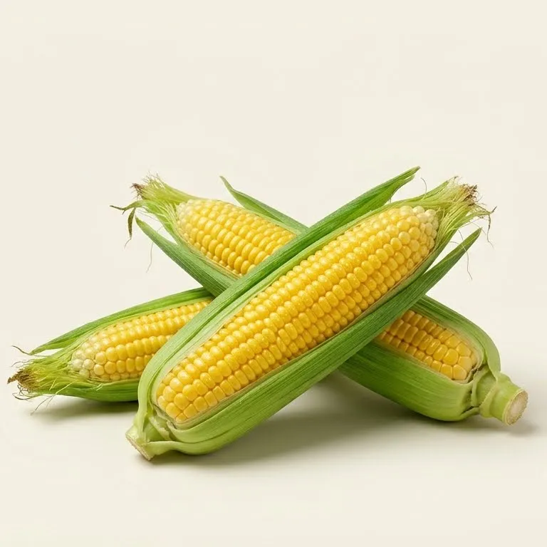 Maize